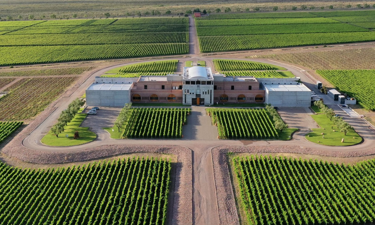 2 Embárcate en un viaje inolvidable a Mendoza, donde el sol brilla, los vinos fluyen y las montañas te esperan.